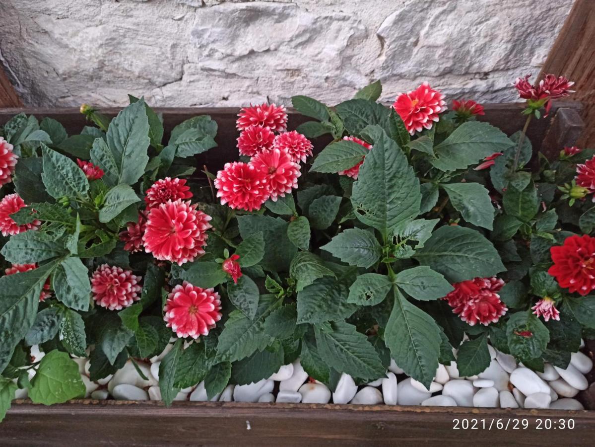 Konak Bindalli Bed & Breakfast Karabuk  Exterior photo