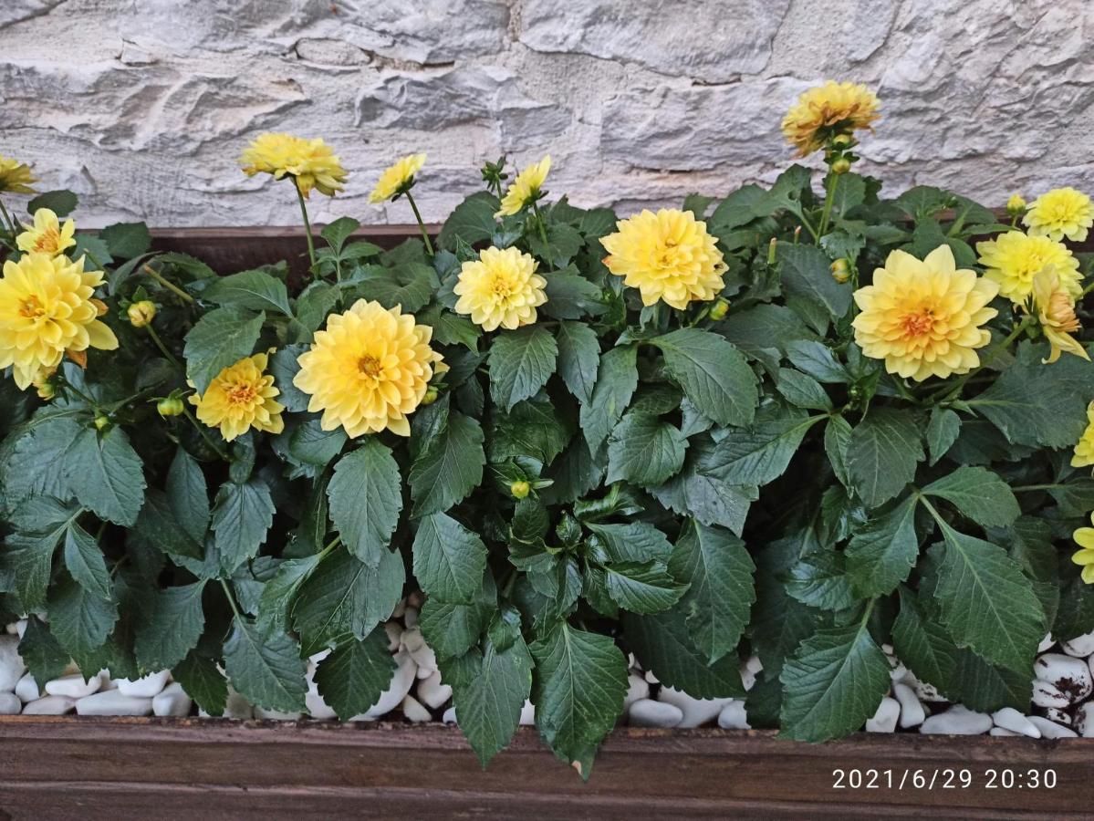 Konak Bindalli Bed & Breakfast Karabuk  Exterior photo